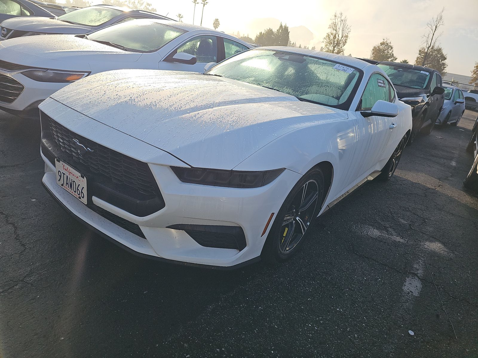 2025 Ford Mustang EcoBoost Premium RWD