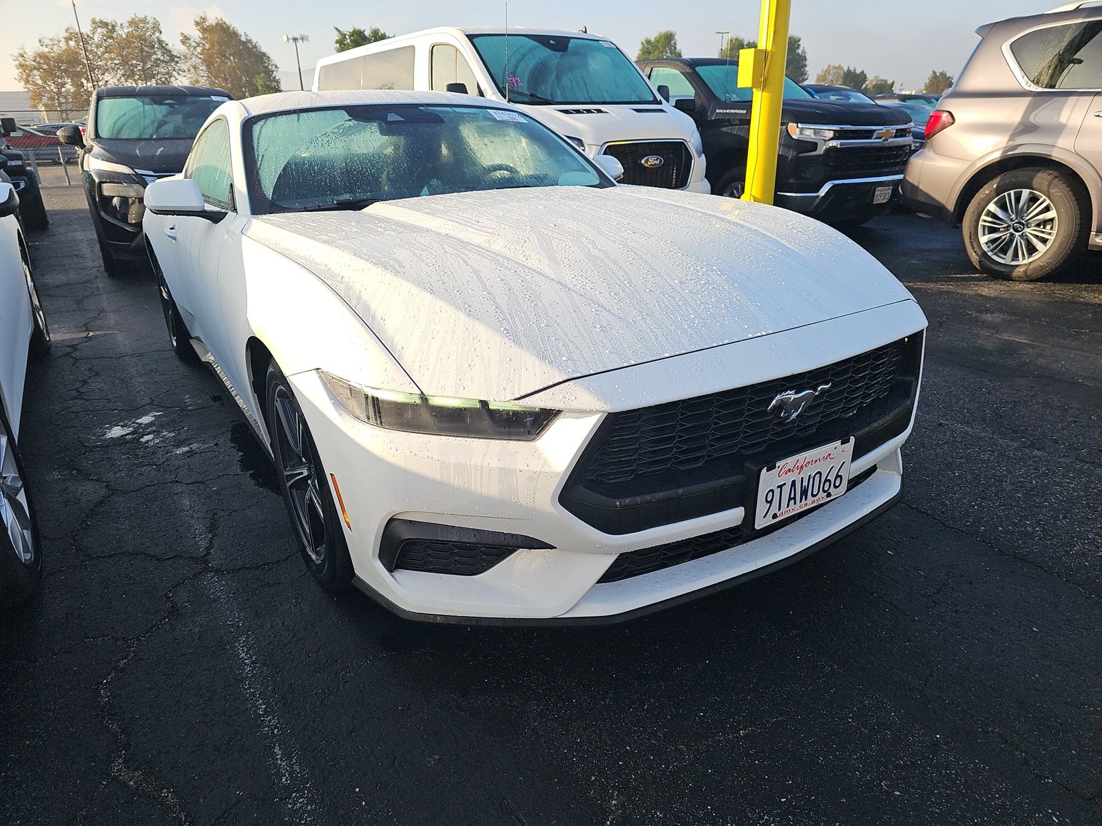 2025 Ford Mustang EcoBoost Premium RWD