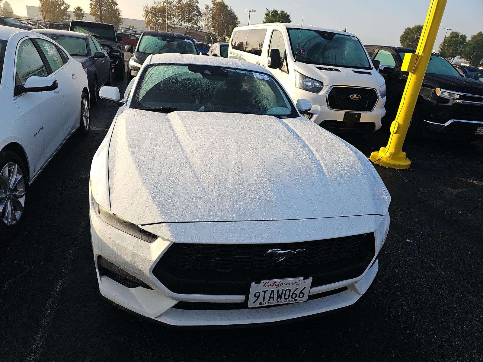 2025 Ford Mustang EcoBoost Premium RWD