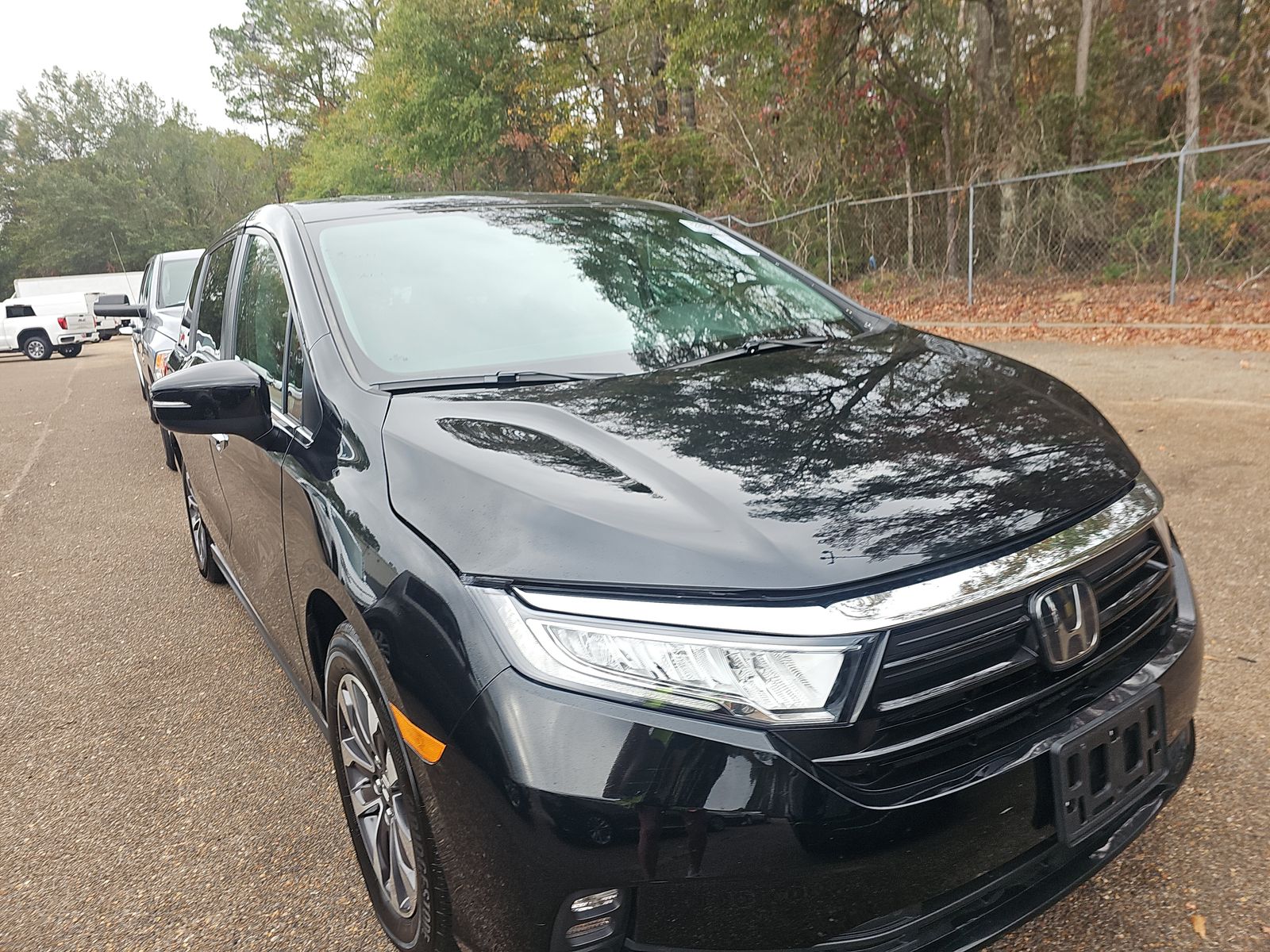 2024 Honda Odyssey EX-L FWD