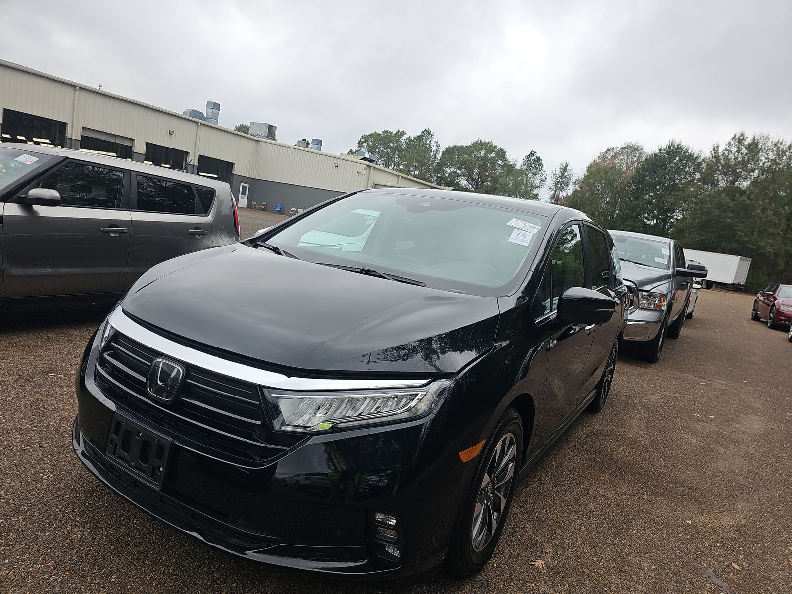 2024 Honda Odyssey EX-L FWD