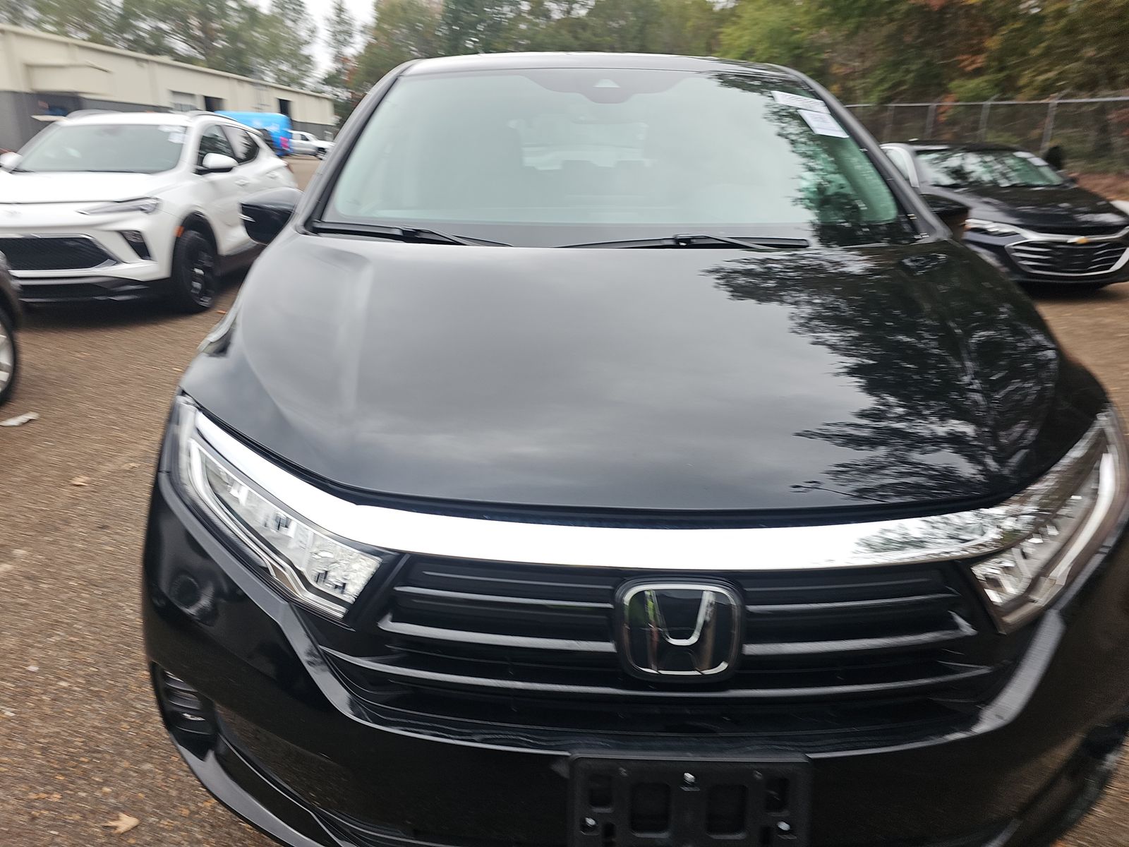2024 Honda Odyssey EX-L FWD