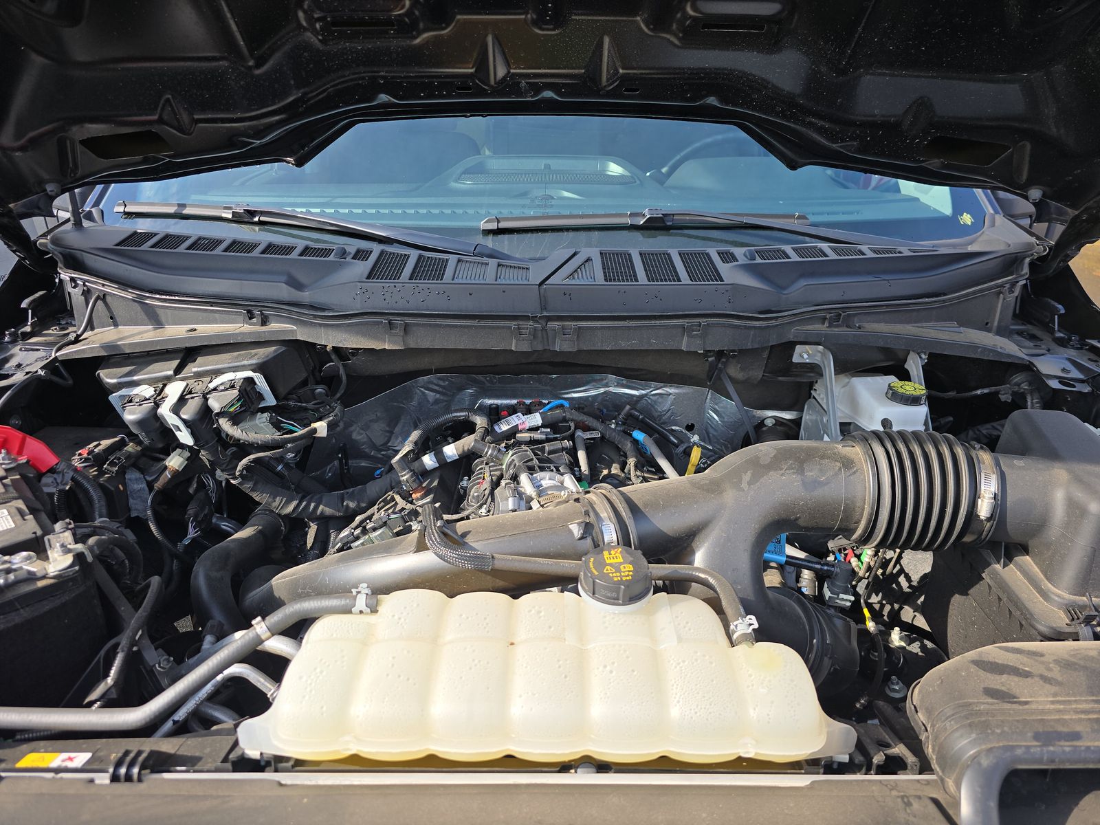 2025 Ford F-150 XLT RWD