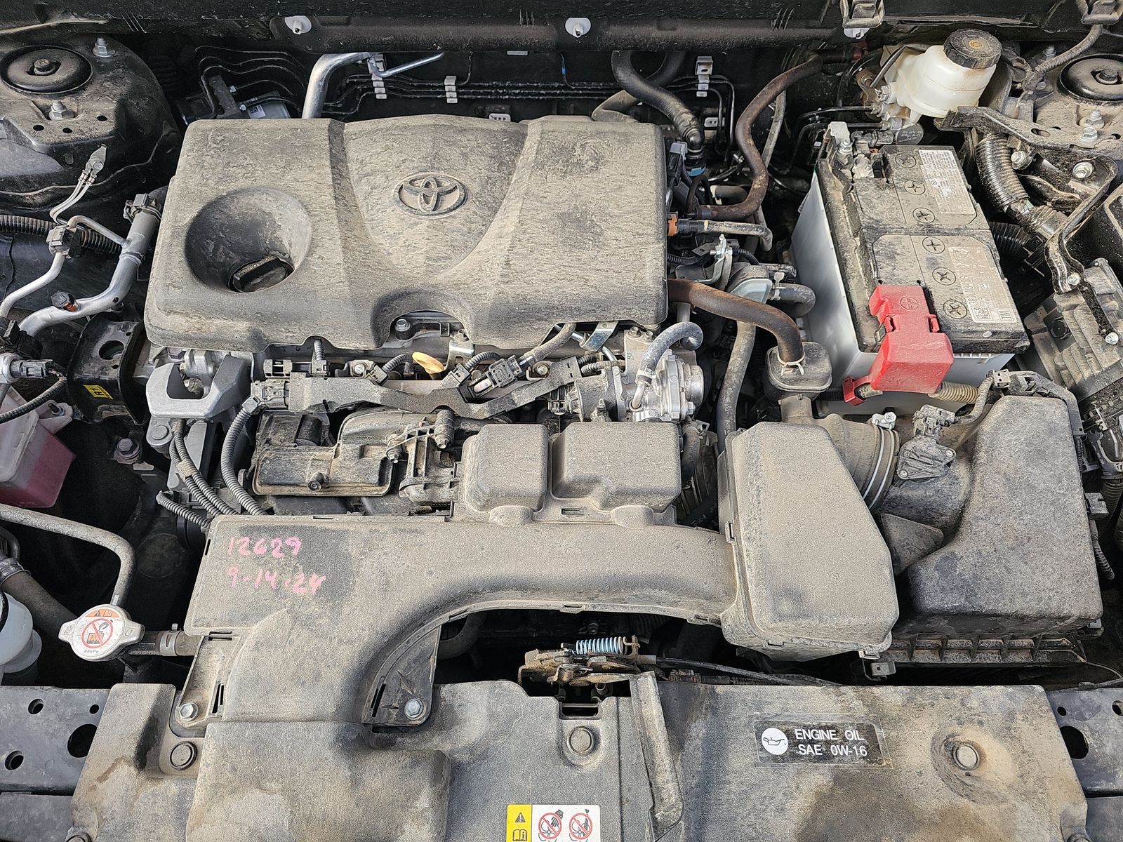 2024 Toyota RAV4 LE AWD