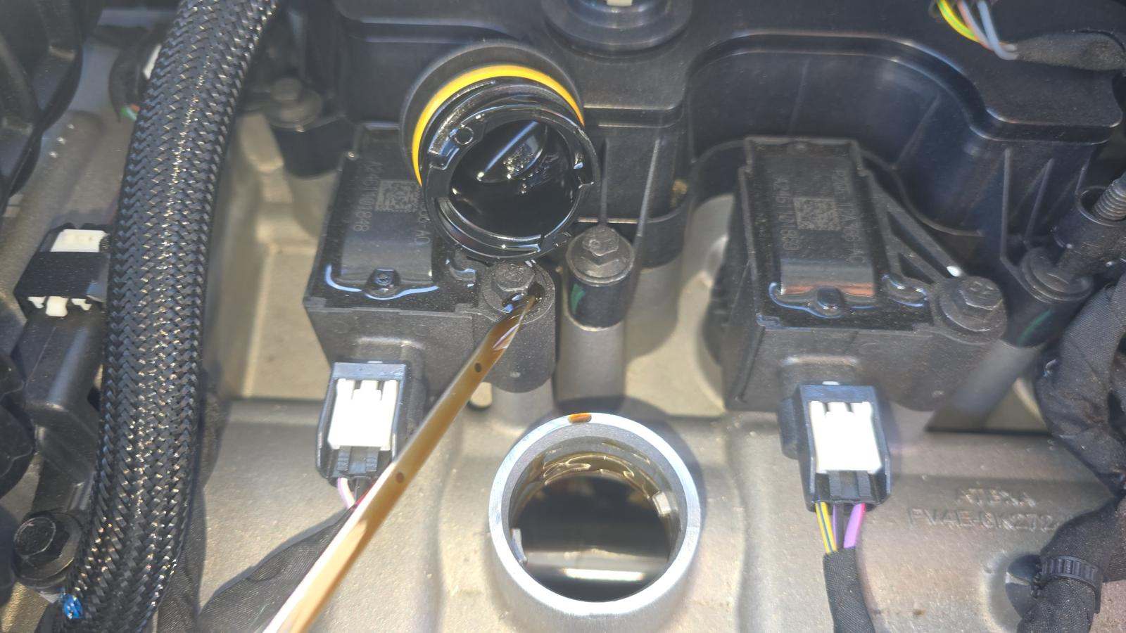 2024 Ford Escape ST-Line FWD