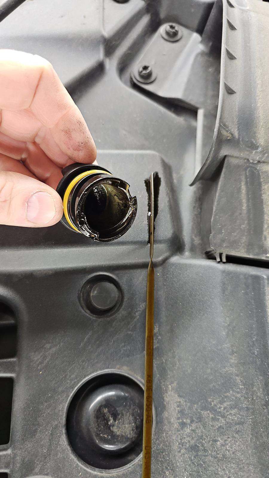 2023 Ford Ranger XLT AWD