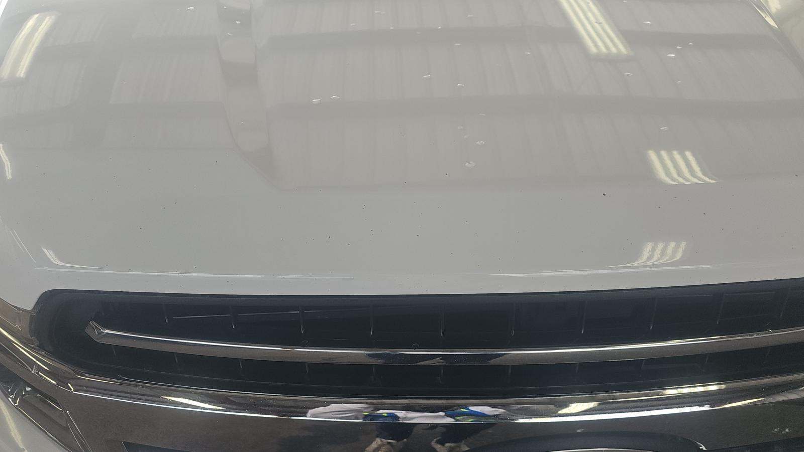 2019 Ford F-150 XLT RWD