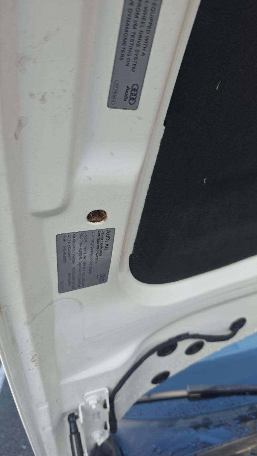 2019 Audi S4 Prestige AWD