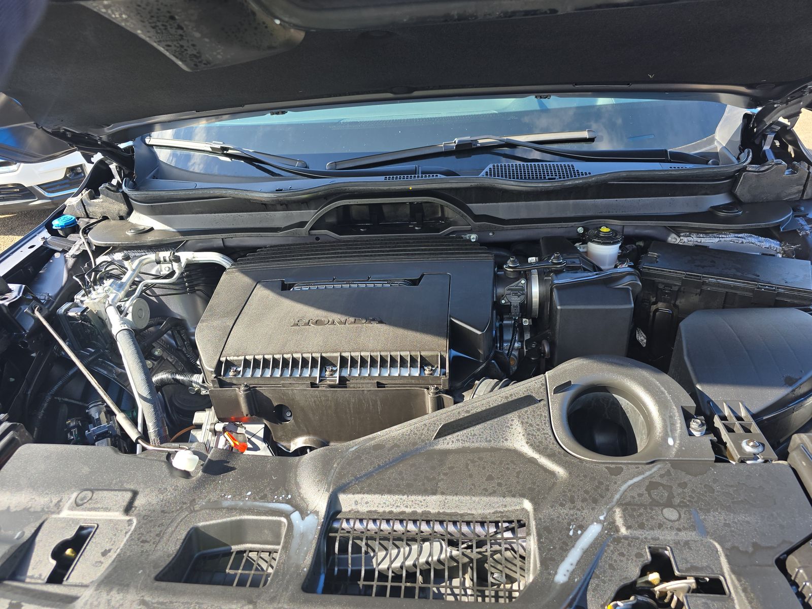 2025 Honda Pilot Black Edition AWD