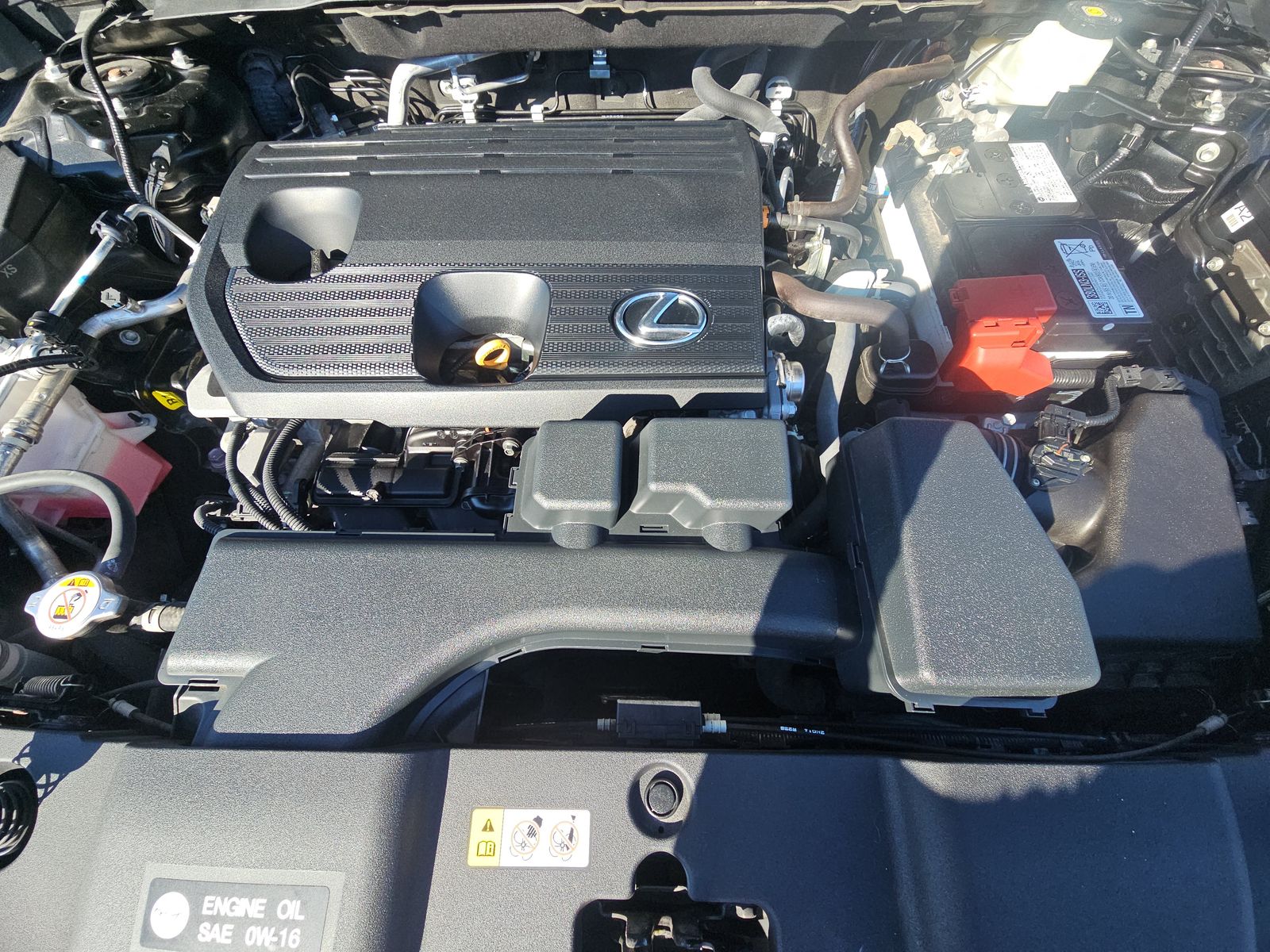 2023 Lexus NX NX 250 FWD