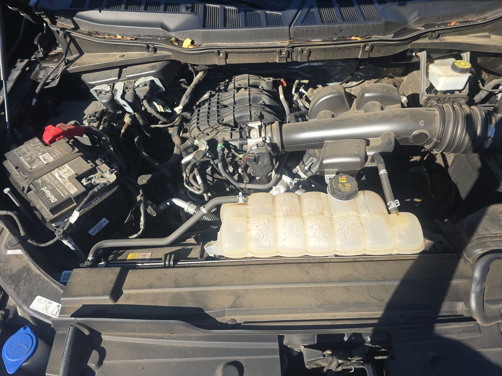 2023 Ford F-150 XLT RWD