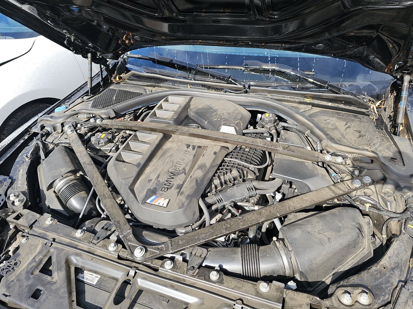 2023 BMW M4 Competition xDrive AWD