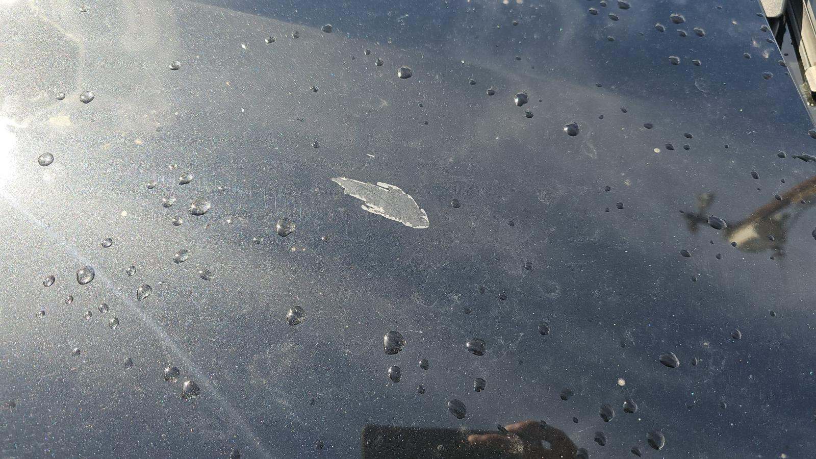 2023 BMW M4 Competition xDrive AWD