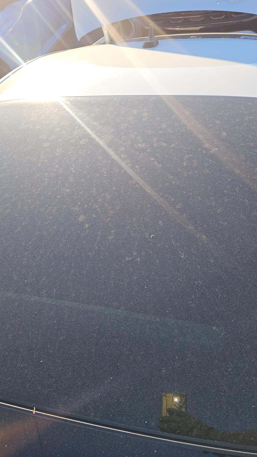 2025 Volkswagen Jetta 2.0T GLI Autobahn FWD