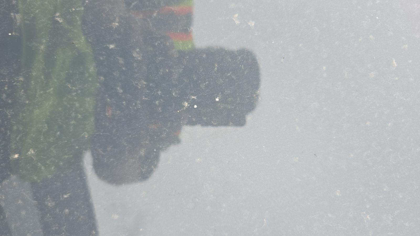 2024 Toyota Prius LE FWD