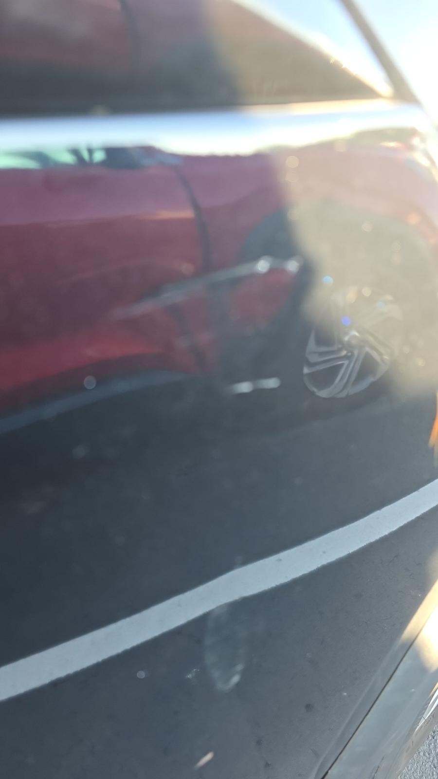 2024 Toyota RAV4 LE AWD