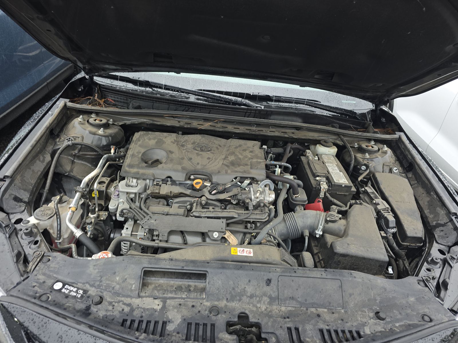 2023 Toyota Camry SE FWD