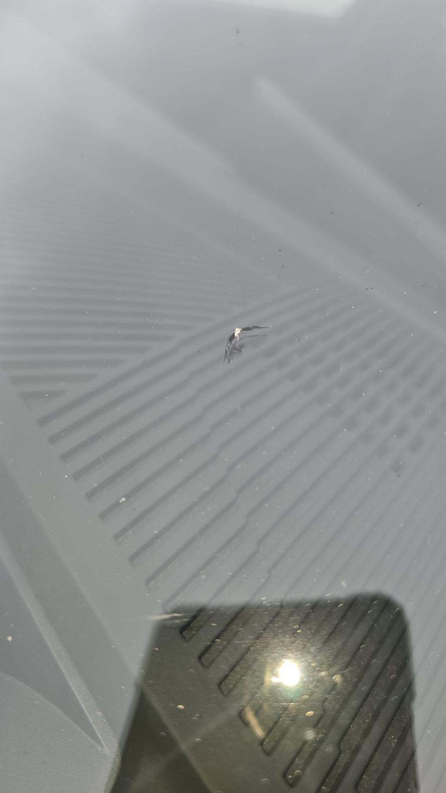 2025 BMW 5 Series 530i RWD