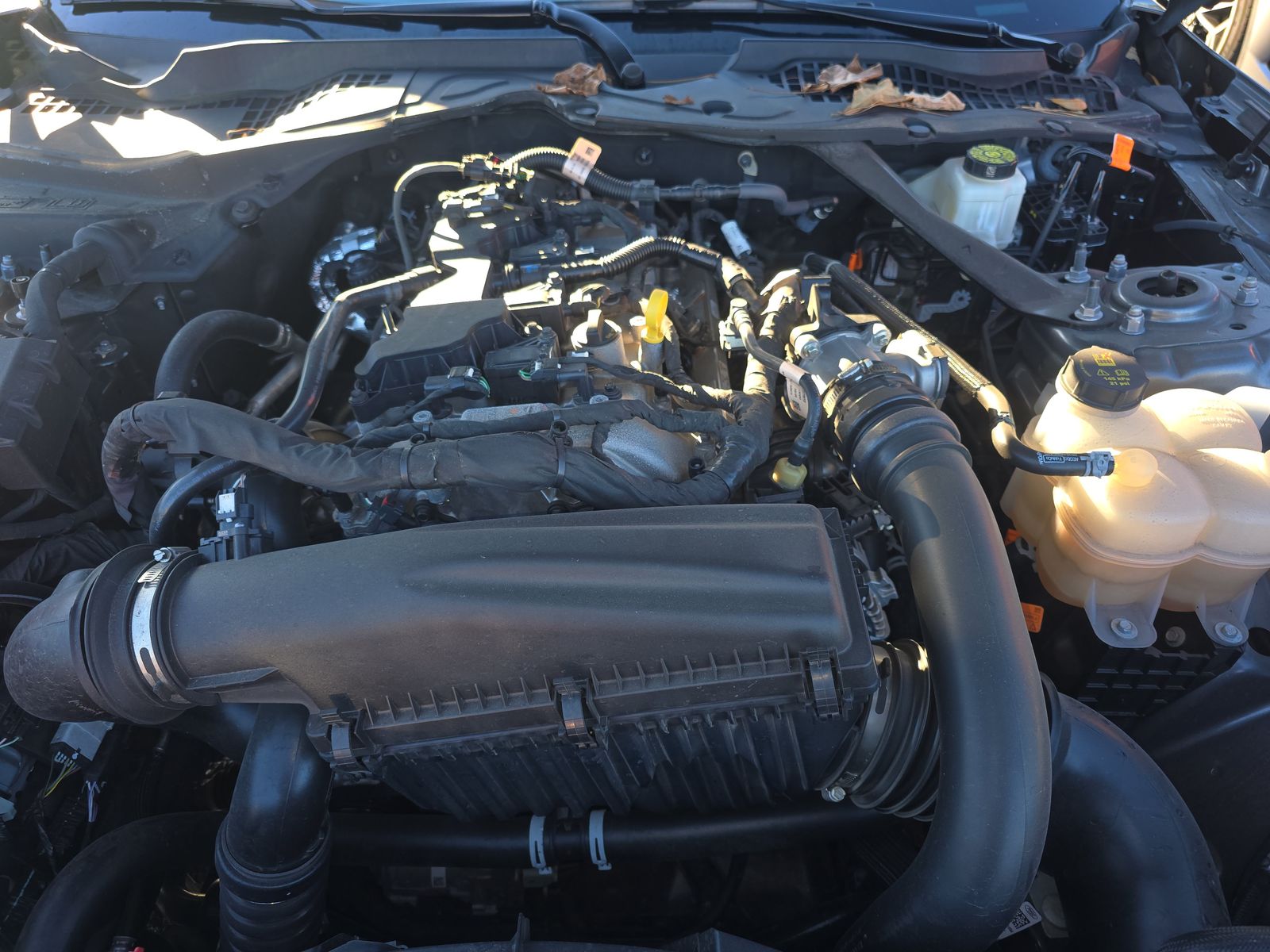 2024 Ford Mustang EcoBoost Premium RWD