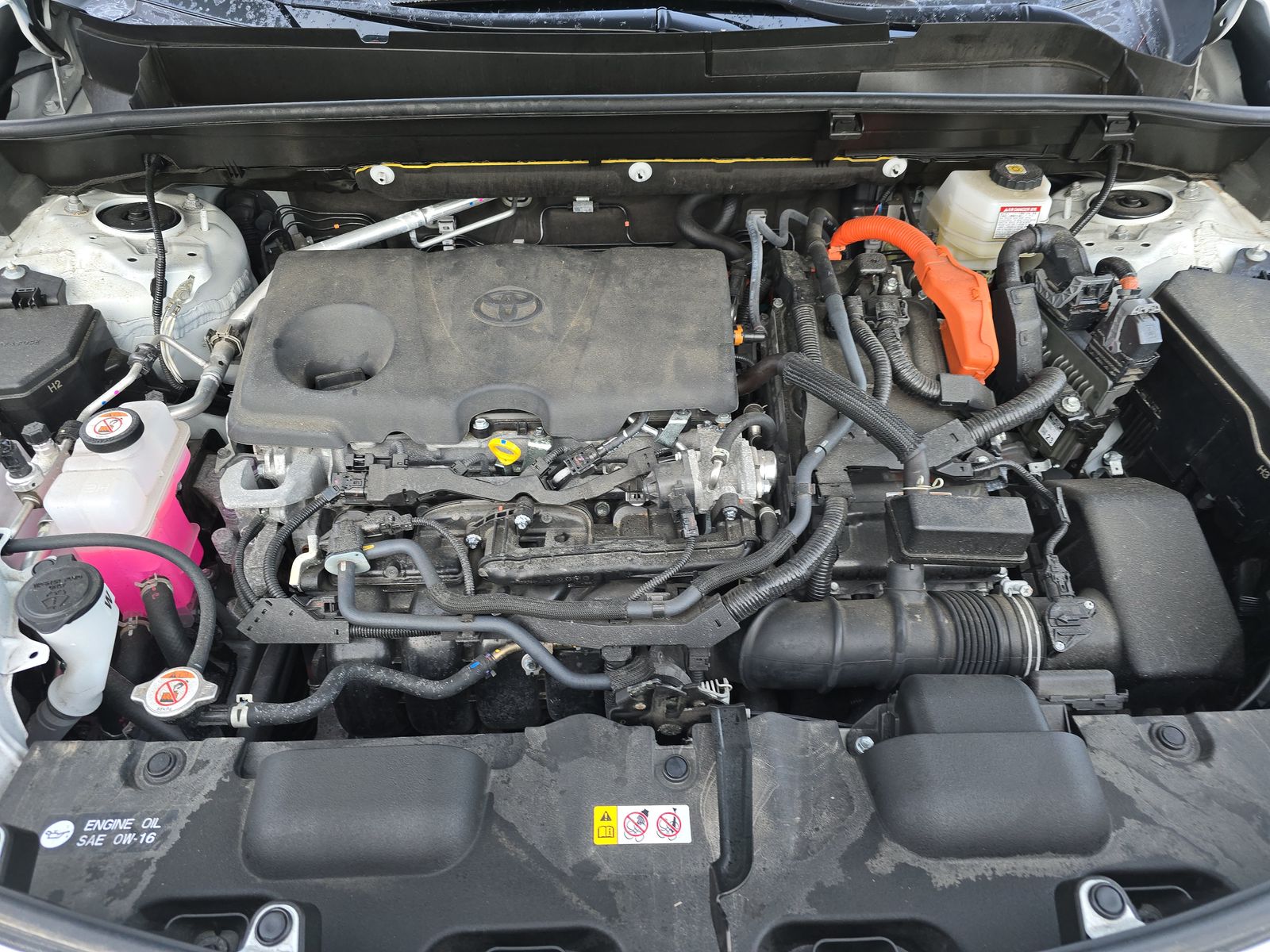 2024 Toyota Venza XLE AWD