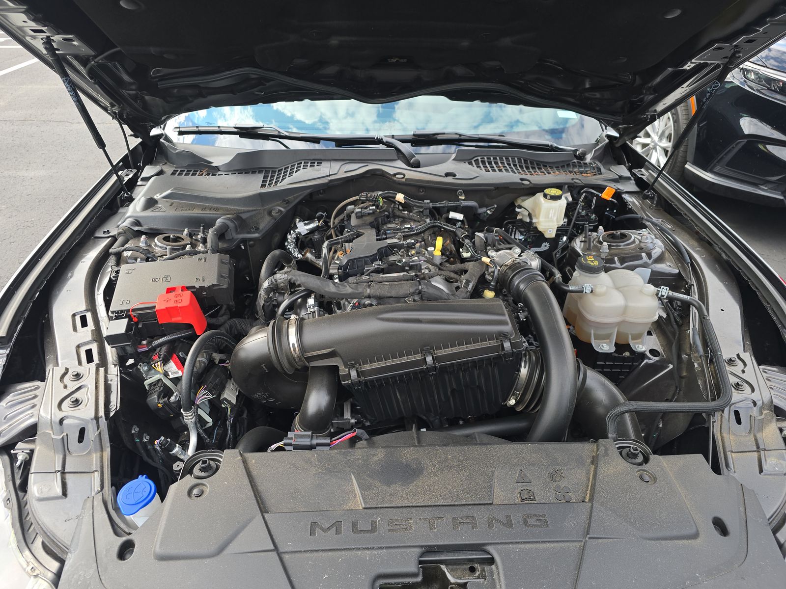 2024 Ford Mustang EcoBoost Premium RWD