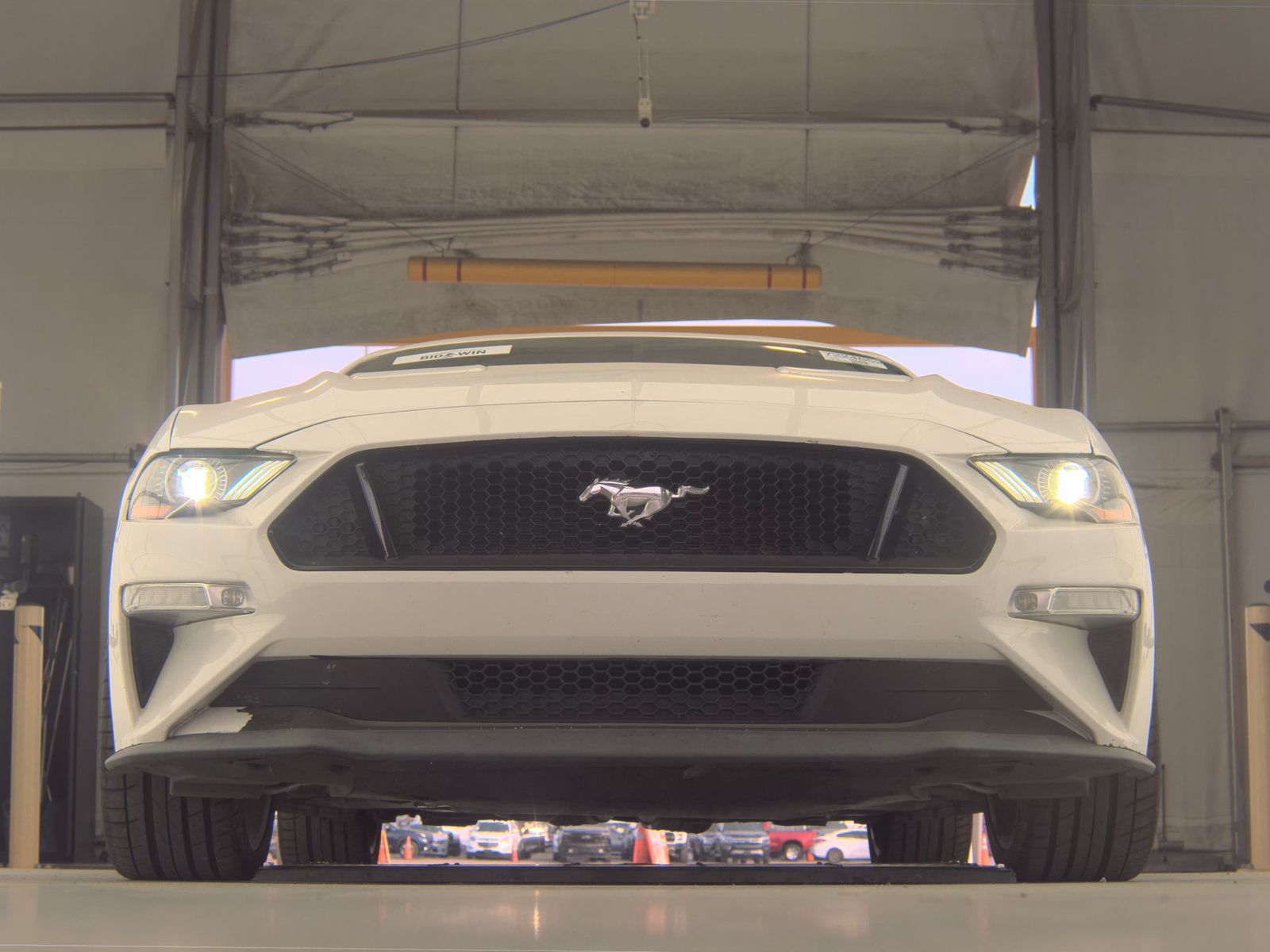 2019 Ford Mustang GT RWD