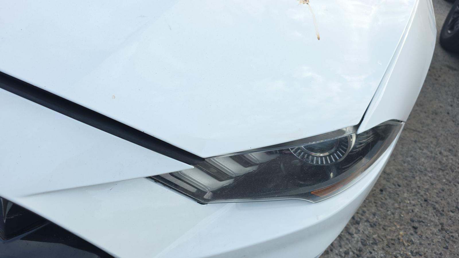 2019 Ford Mustang GT RWD