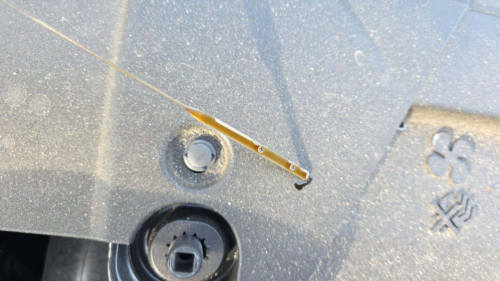 2025 Ford Mustang EcoBoost Premium RWD