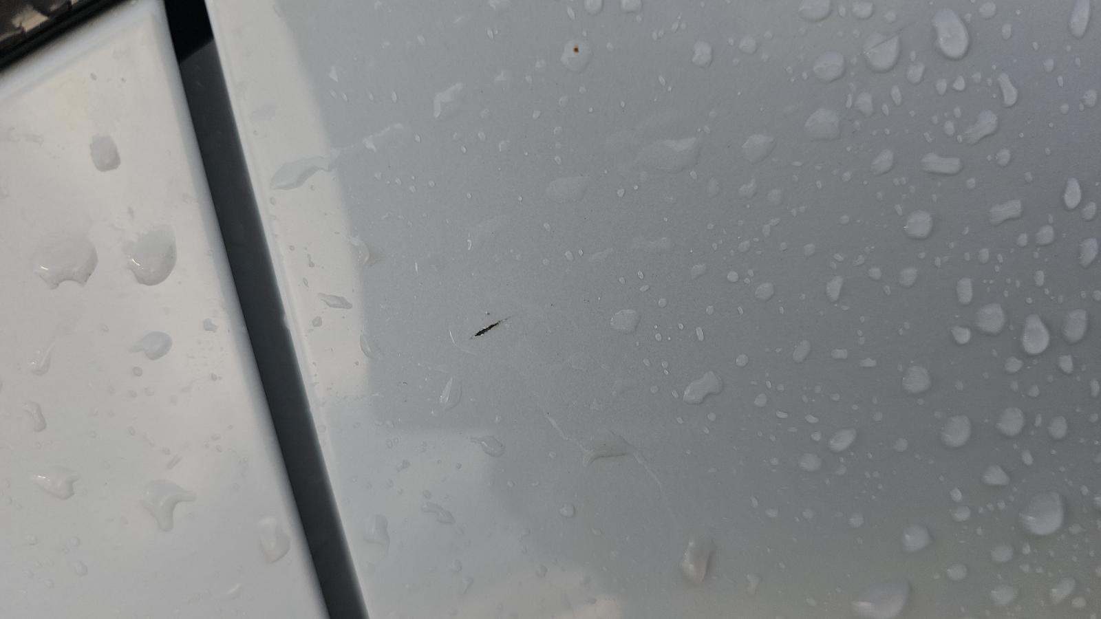 2023 Audi SQ5 Prestige AWD