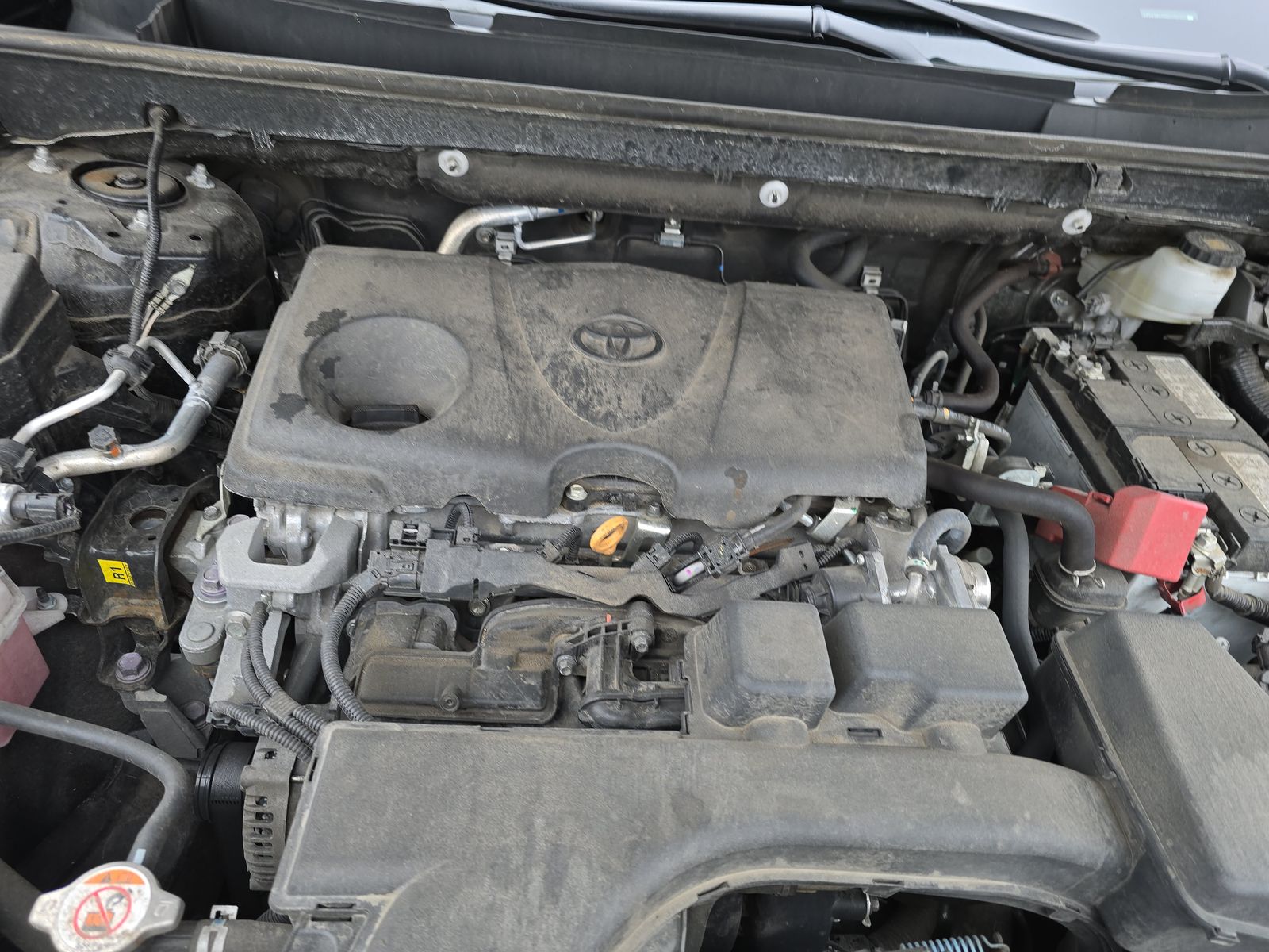 2024 Toyota RAV4 XLE AWD