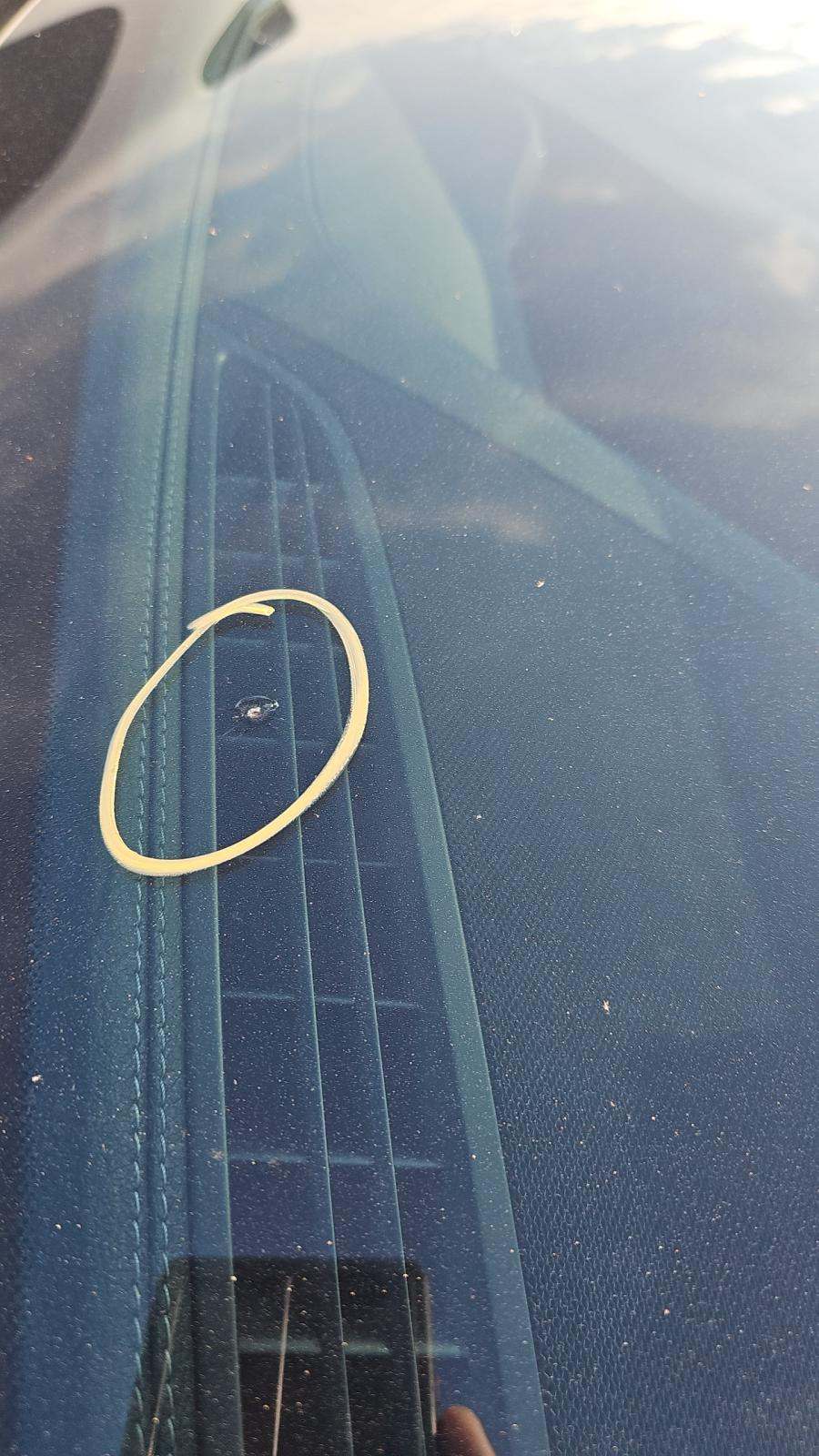 2020 Mercedes-Benz Mercedes-AMG GT AMG GT 53 AWD