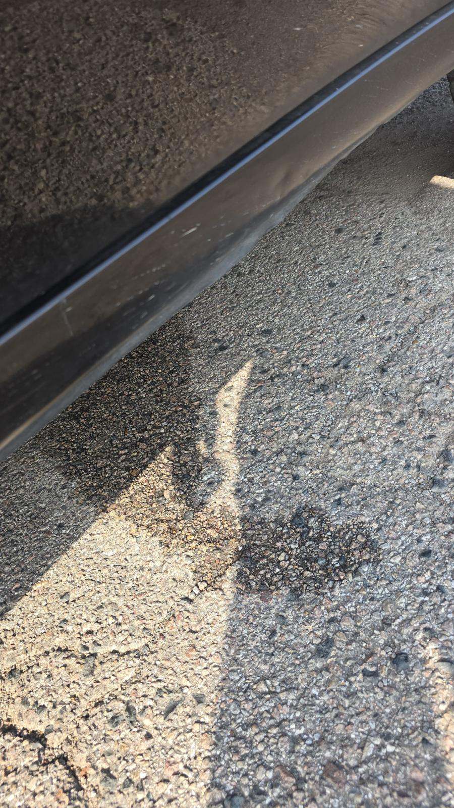 2019 Chevrolet Silverado 1500 LT Trail Boss AWD