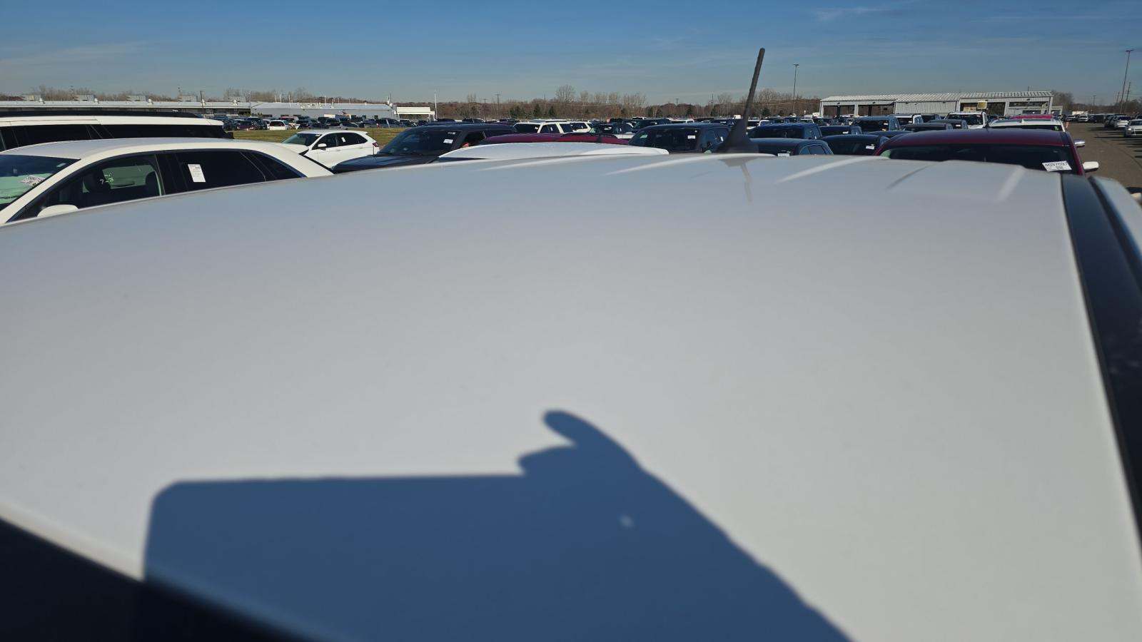 2025 Ford Ranger XLT AWD