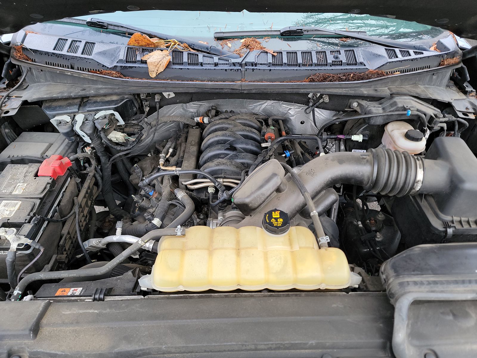 2019 Ford F-150 XLT AWD