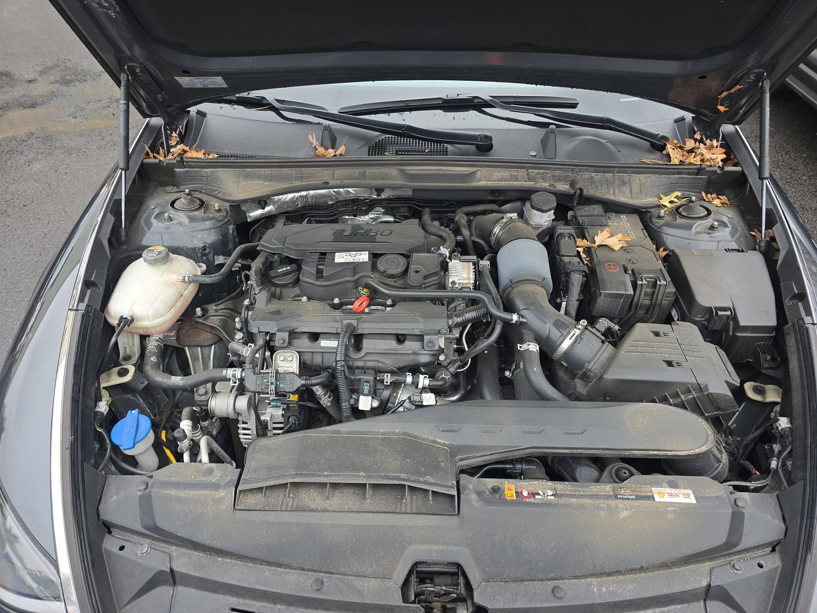 2023 Hyundai Sonata Limited FWD