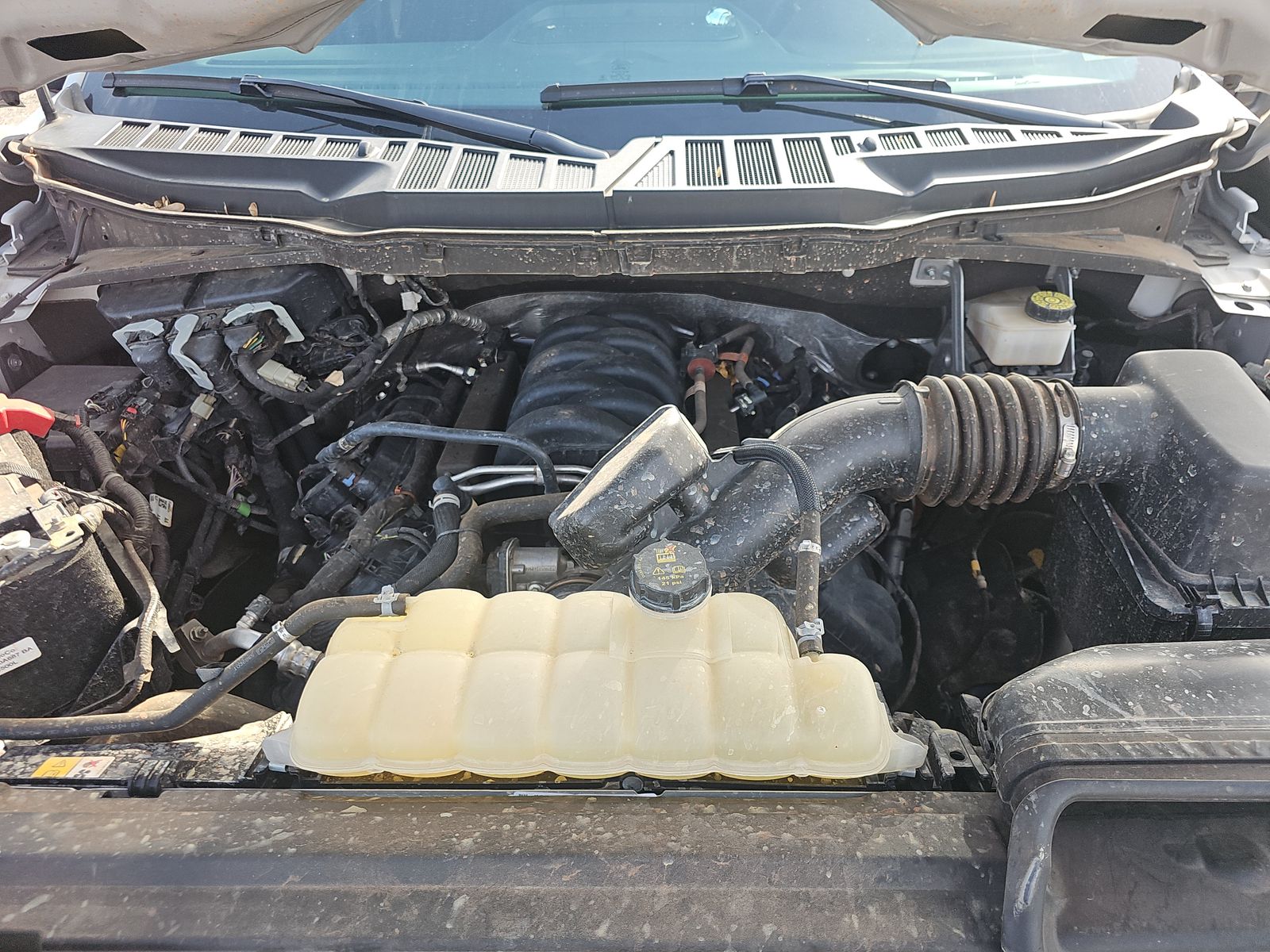 2024 Ford F-150 XLT AWD