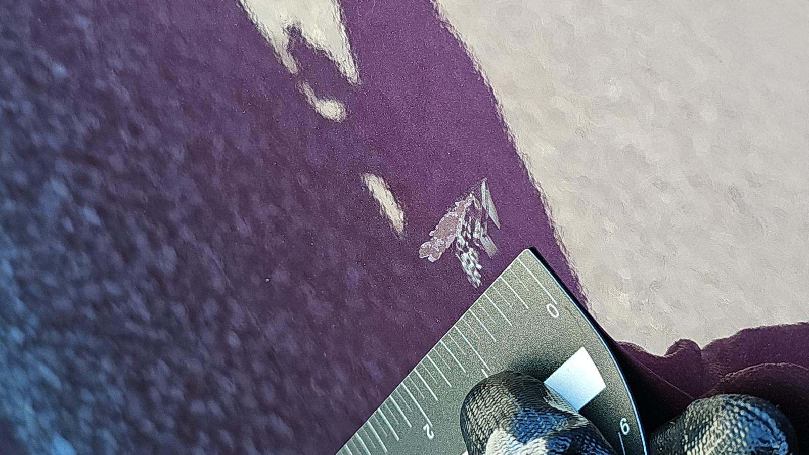 2022 Dodge Charger R/T RWD