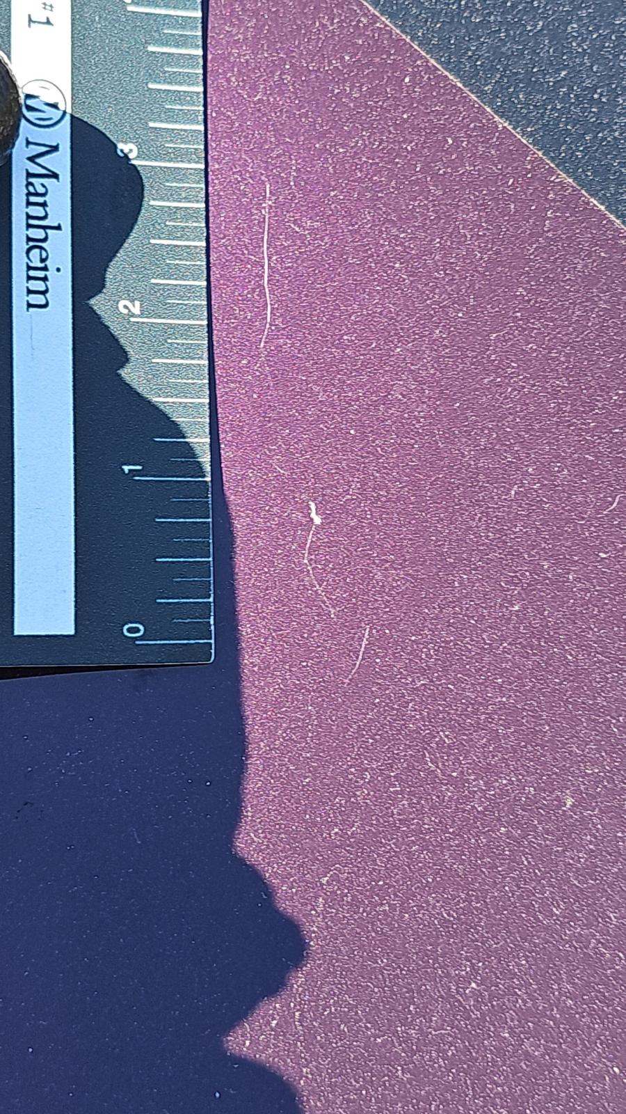 2022 Dodge Charger R/T RWD