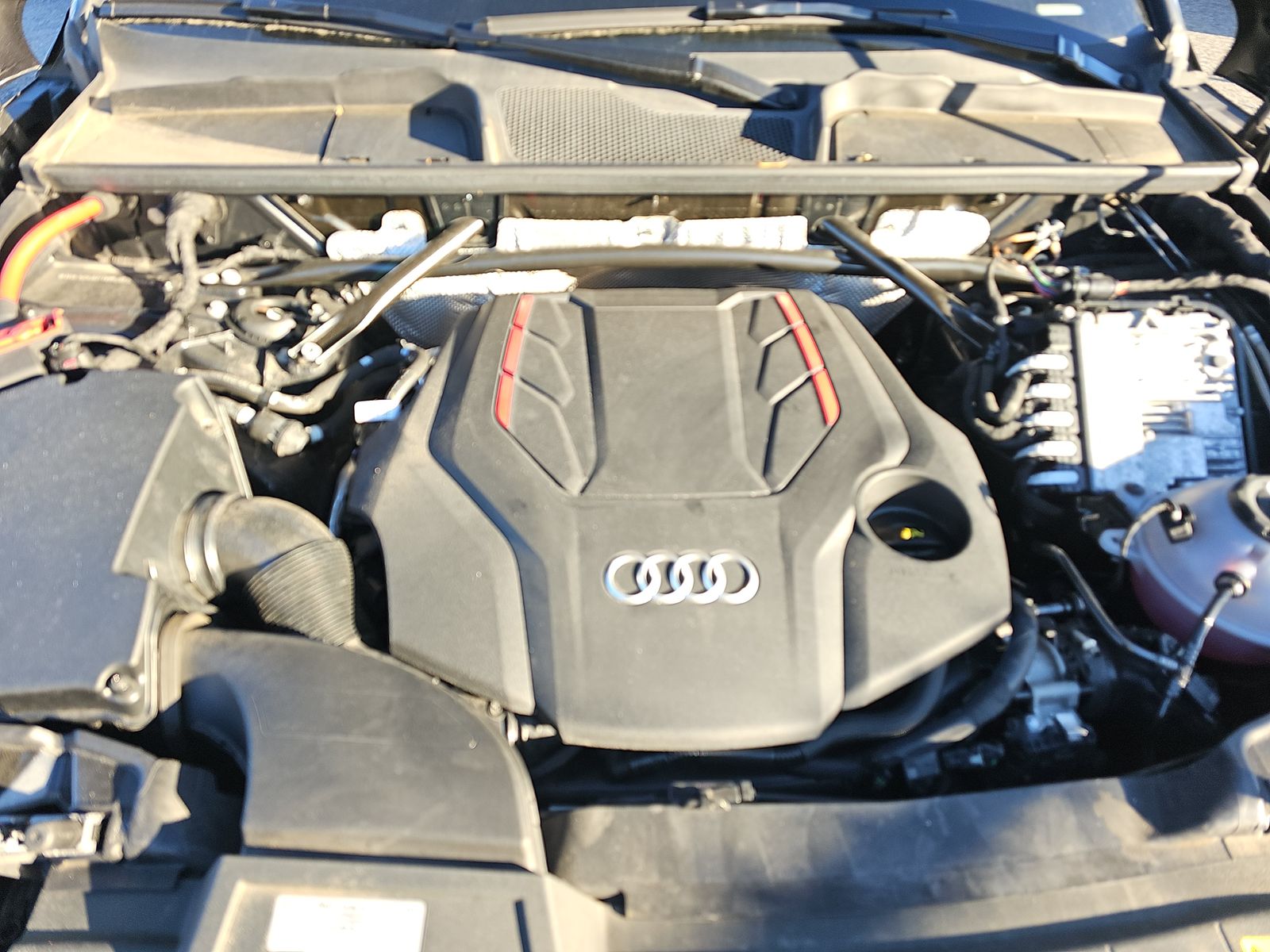 2024 Audi SQ5 Premium Plus AWD