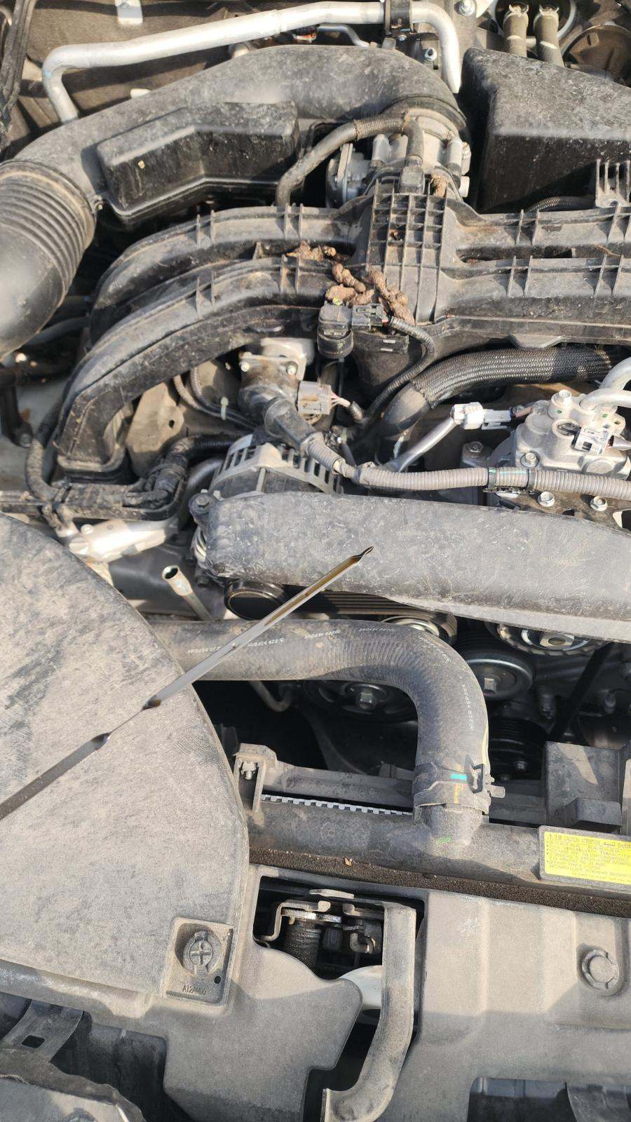 2023 Subaru Outback Premium AWD