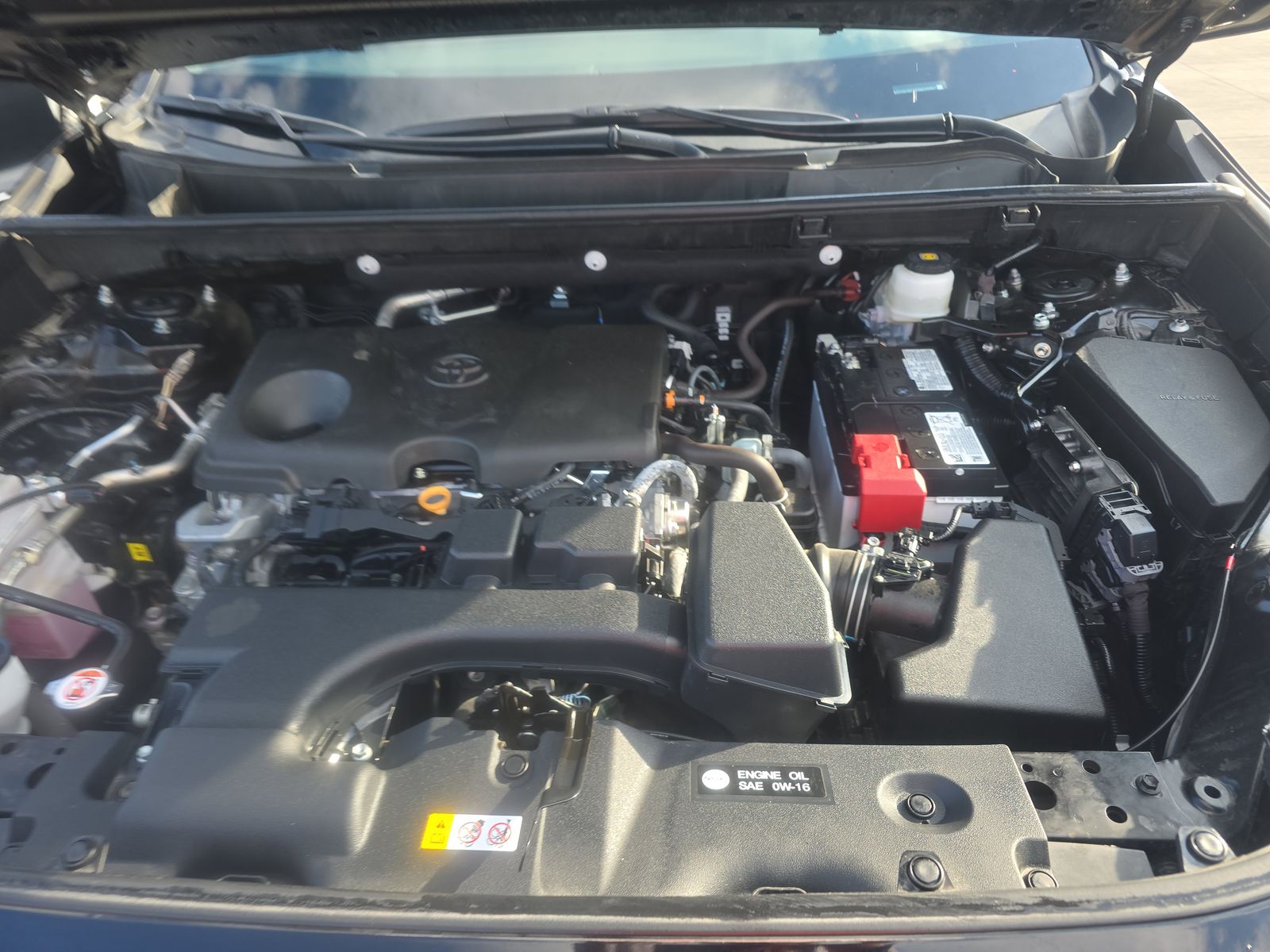 2024 Toyota RAV4 LE FWD