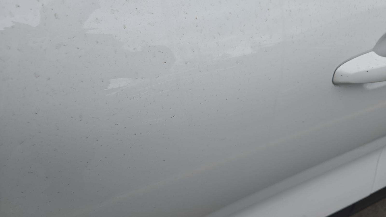 2025 Ford Escape Active AWD