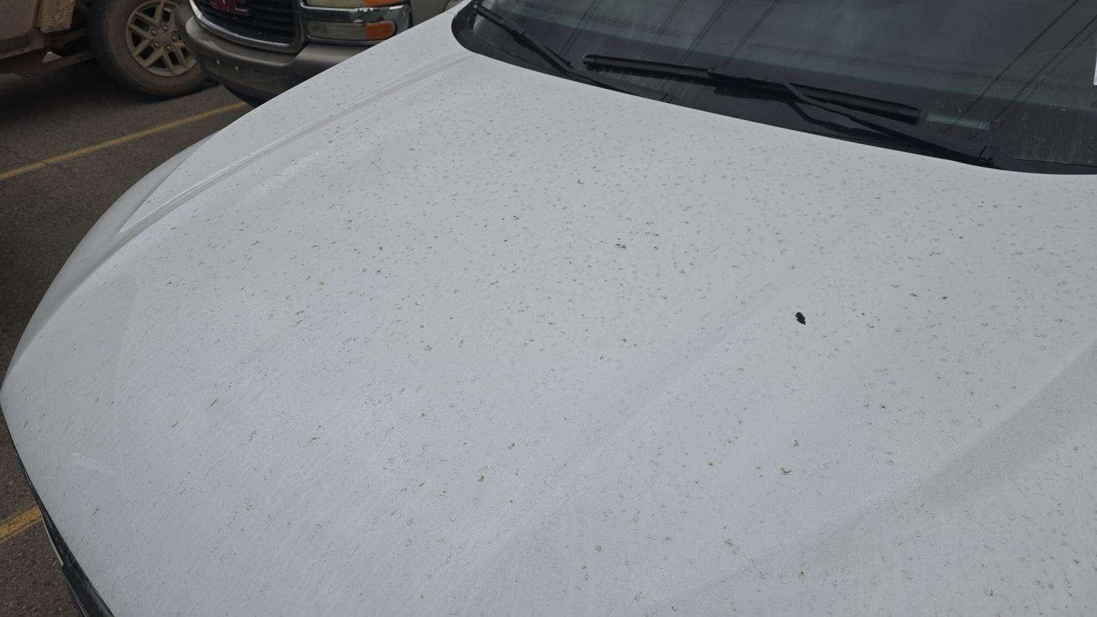 2025 Ford Escape Active AWD