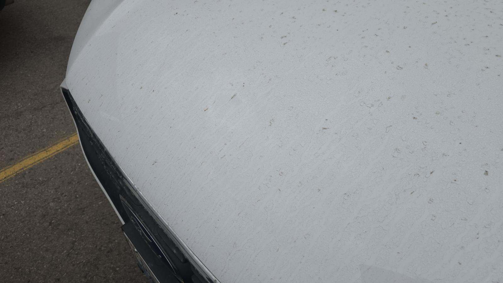 2025 Ford Escape Active AWD