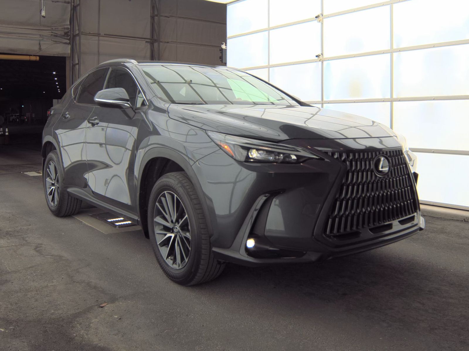 2023 Lexus NX NX 250 FWD