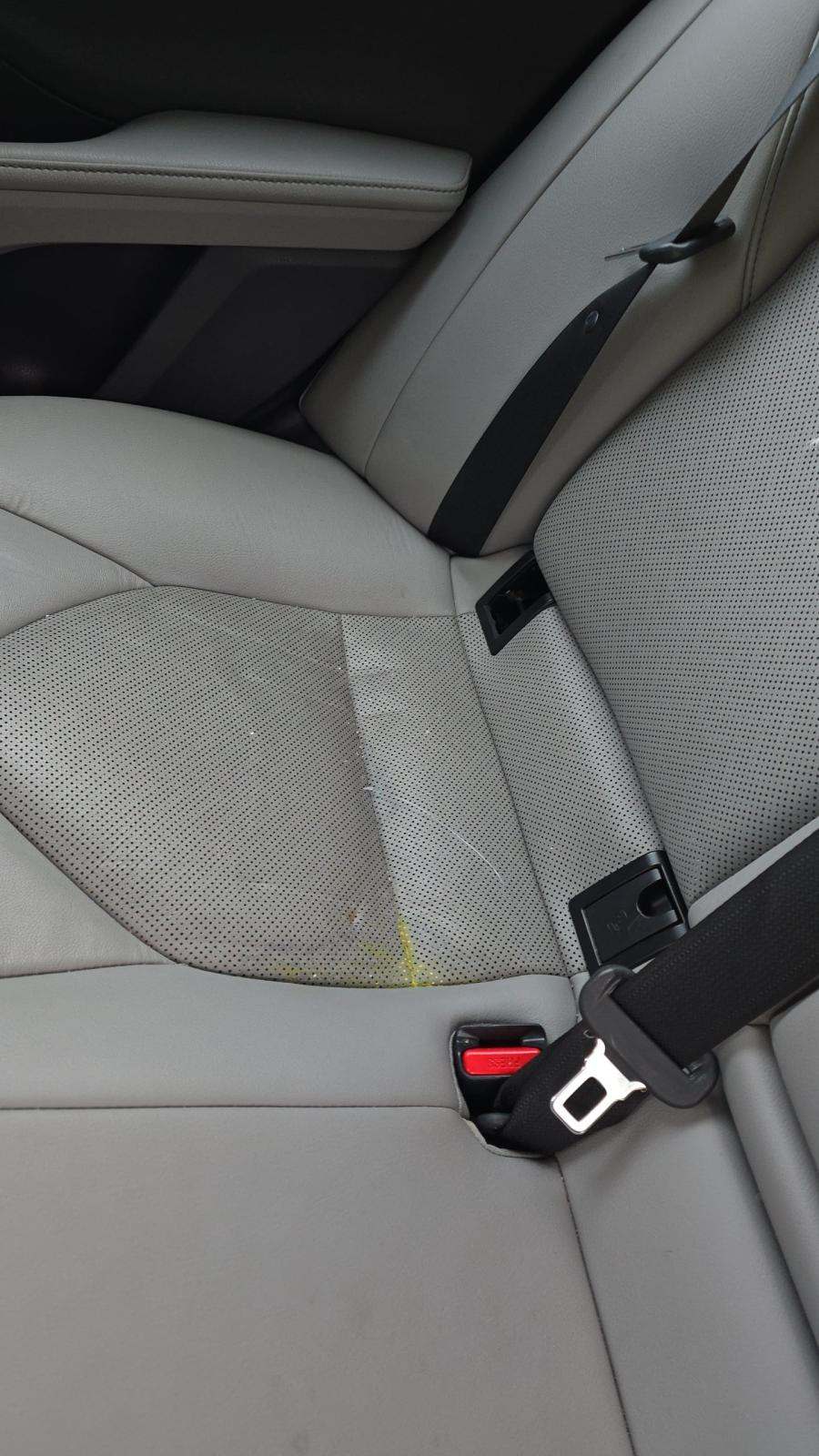 2024 Toyota Camry XLE AWD