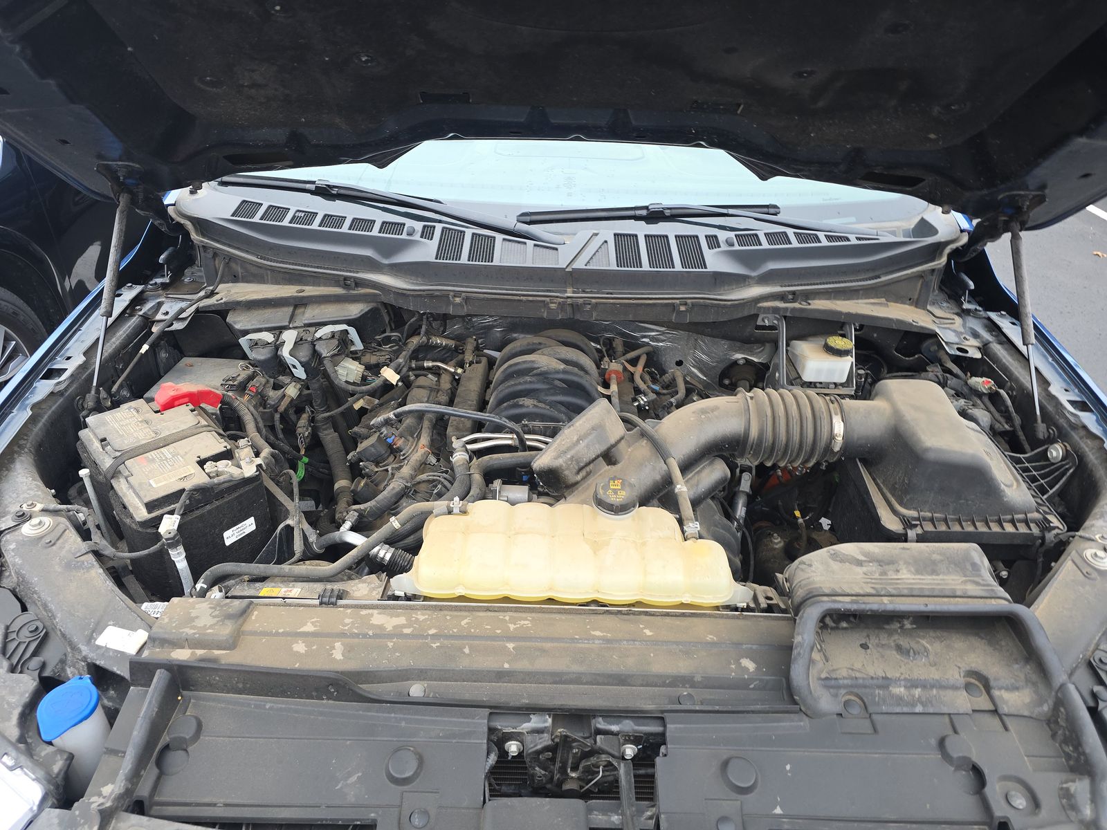 2023 Ford F-150 XLT AWD