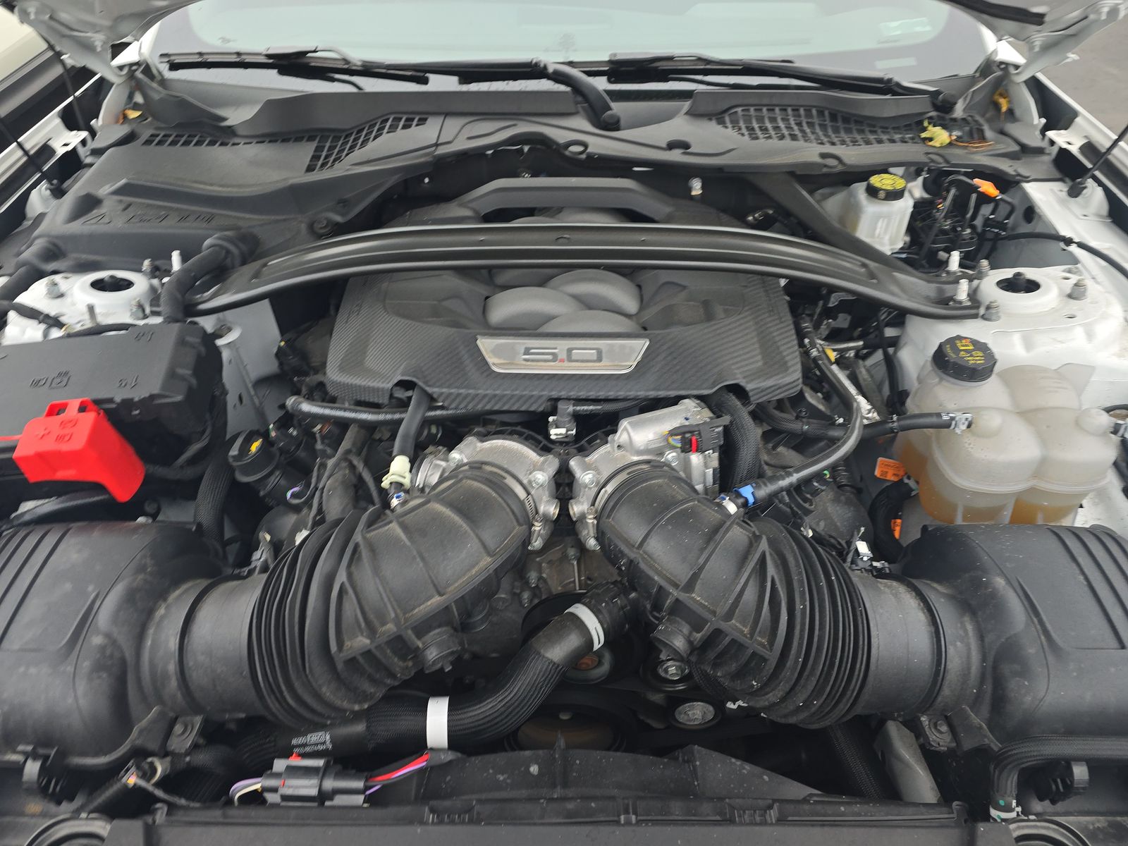 2025 Ford Mustang GT Premium RWD