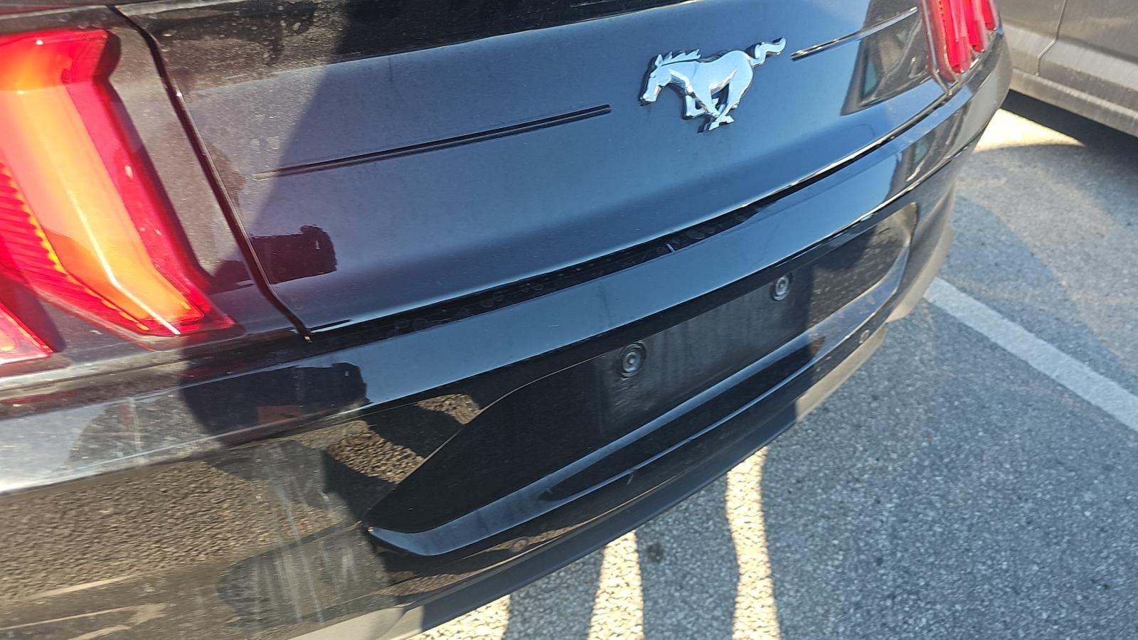 2023 Ford Mustang EcoBoost Premium RWD