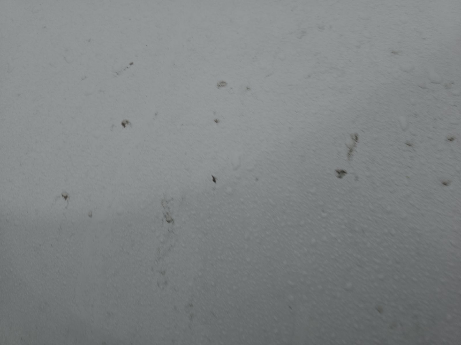 2022 Jeep Cherokee Trailhawk AWD